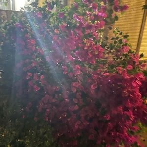 Meet your Posher, Iveta